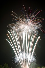 2014 Treemont Drive Fireworks