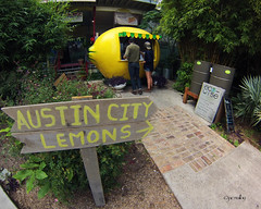 Austin City Lemons