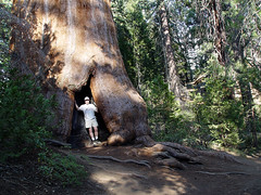 2004 Sequoia / Kings Canyon