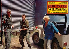 1984: Geheimcode Wildgänse