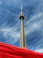 Toronto & Skyline 
