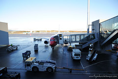 Voyage Norvège - J11 - 18/11/2012