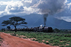 World Steam - Kenya