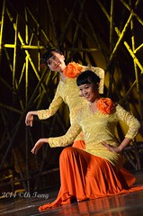The Malaysian Dance Odyssey 2014