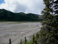 Denali Area Alaska