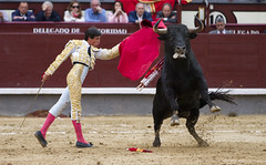 Madrid, Spain (Bullfight) - 2014
