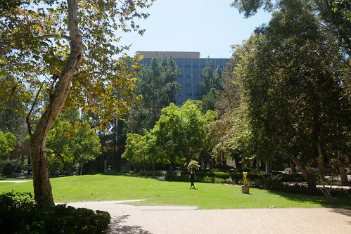 UCLA, where Bradbury wrote Fahrenheit 451