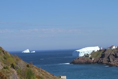 icebergs
