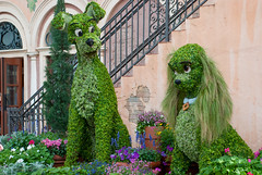 Disney Epcot Flower and Garden Festival