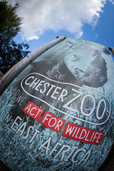 Chester Zoo (13th Sept 2014)