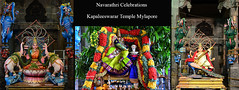 Navarathri Celebrations 2014