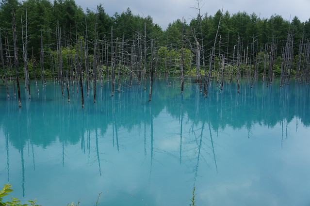 blue_pond1