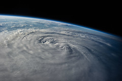 Typhoon Halong