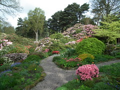 Lea Gardens, Matlock, Derbyshire