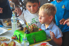 Alexander's Birthday Parties