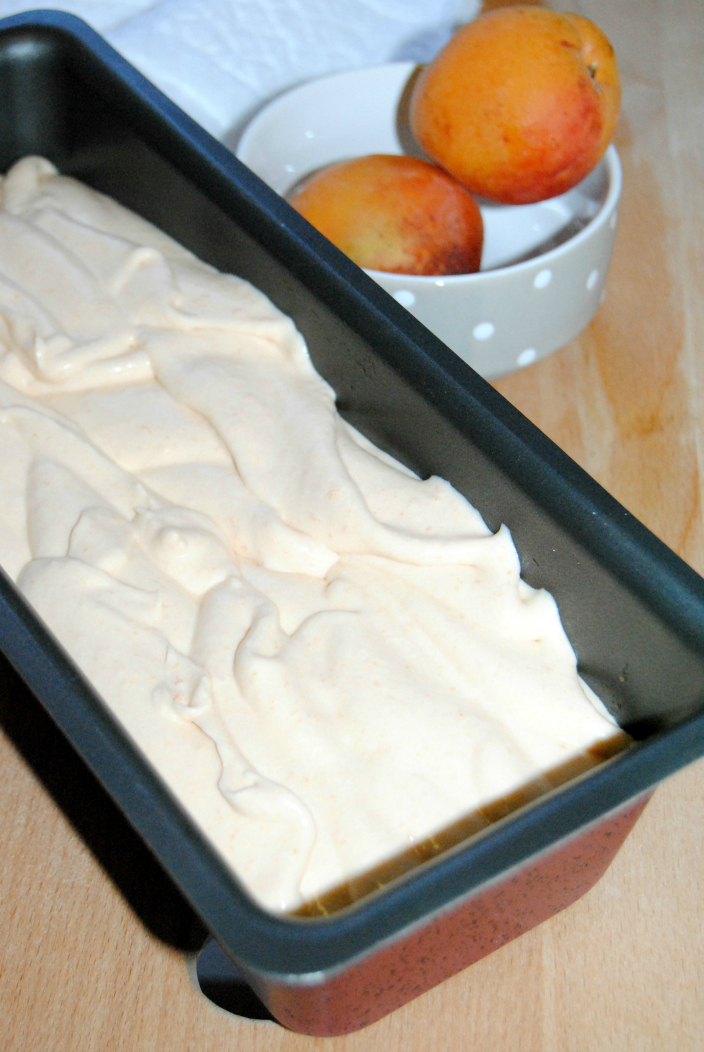 Amazing recipes - Apricot Ice Cream (10)
