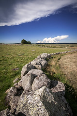 Muret en granit sur l'Aubrac - A wall of granite in Aubrac region