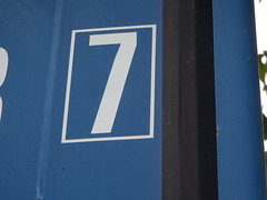 7 the number