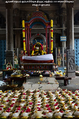 2014 - 1008 Sangabishaekam -Kapleeswarar Temple