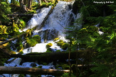Clearwater Falls - North Umpqua Scenic Byway