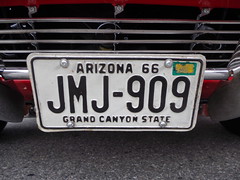 American License plates