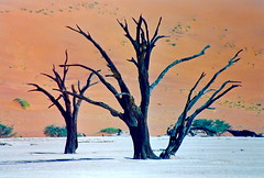NAMIBIA 2006