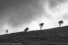 Lake District in black & white