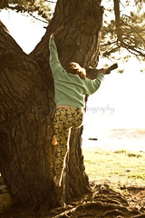 Tish in a Tree