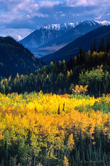 Alaska 2003 fall
