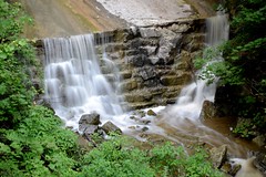 Sydenham Creek Waterfalls