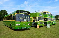 Lewes Bus Rally 2015