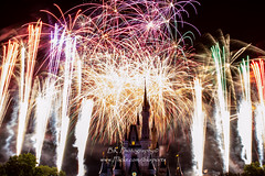 Disney World Castle Fireworks