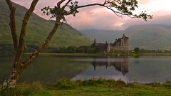 2013-8 scotland