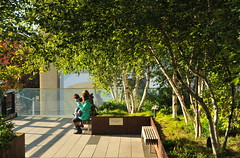 High Line Morning 2014-10-05