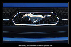 Ford Mustang Car Show, Eisenhower Park, East Meadow, NY - 09/27/14