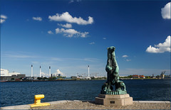 2014  Baltic Cruise Copenhagen
