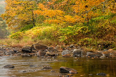 Vermont Fall Foliage 2014