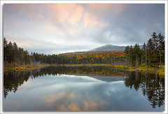 New Hampshire Fall 2014