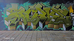 Den Haag Graffiti  SHAKE