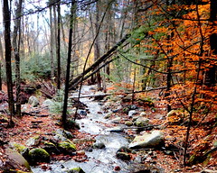 Killington Vermont Fall Colors