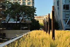 High Line Art: Archeo (2014–2015)