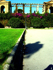  Gardens "Palau de Pedralbes" in Barcelona.(2006)