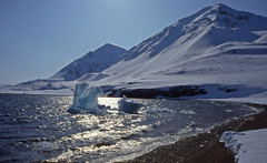 Svalbard/Spitsbergen