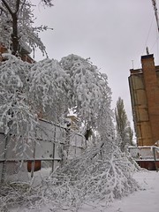Weather anomaly in Dnipro