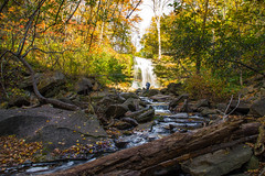 Mill's Falls Fall 2014