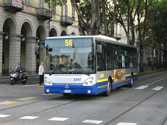Italy: Turin Bus & Coach Photos 2014