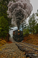 Sumpter Valley Railroad