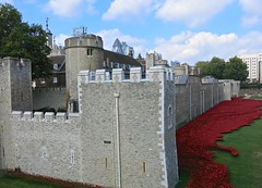 Poppies at The Tower of London