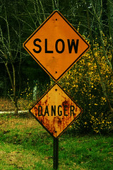 Slow Danger