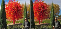 Dale Chihuly Art